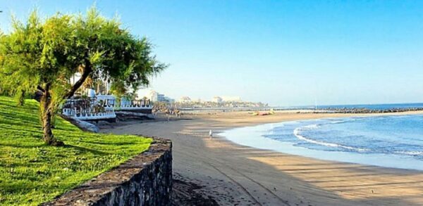 Playa de las Américas Terraza Wi-Fi gratuito