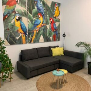 Habitaciones para familias CASA PAPAGAYO Parking gratuito Santa Cruz de TenerifePlayas Terraza Calle Prosperidad