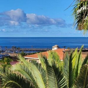 Albatros Tenerife Golf Sea View Parking gratuito San Miguel de Abona Habitaciones para familias Bar Avenida J.M. Galván Bello