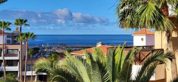 Albatros Tenerife Golf Sea View Parking gratuito San Miguel de Abona Habitaciones para familias Bar Avenida J.M. Galván Bello