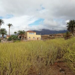 Calle Isla de Fuerteventura