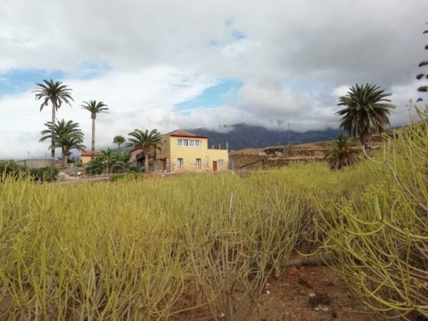 Calle Isla de Fuerteventura